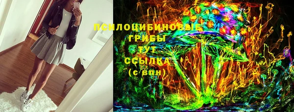 мет Бородино