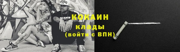 гидра Бронницы