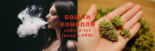 гидра Бронницы
