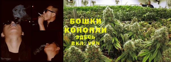 гидра Бронницы