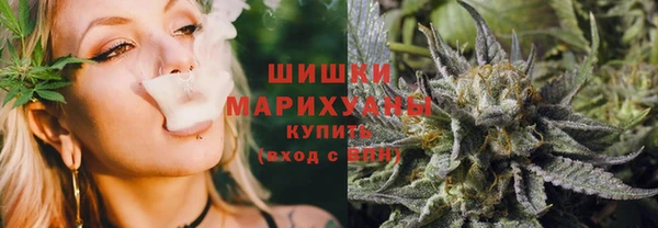 гидра Бронницы